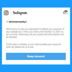 Delete Instagram Account Permanently Email